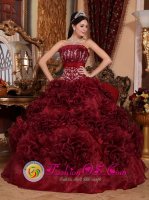 Cala Sant Vicenc Spain Appliques Burgundy Strapless Organza Popular Christmas Party Dress