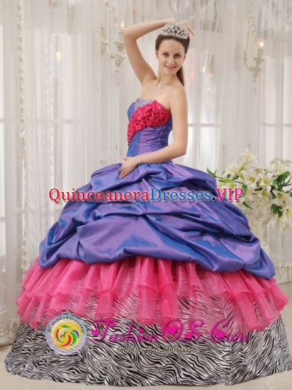 GramblingLouisiana/LA Colorful Exclusive Quinceanera Dress With purple Taffeta and pink Organza and Zebra Pick-ups - Click Image to Close