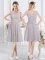 Scoop Knee Length A-line Sleeveless Grey Quinceanera Court of Honor Dress Zipper