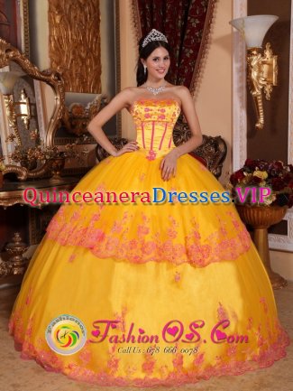 Fishguard Dyfed Classical Yellow Quinceanera Dress With Organza and romantic Lace Appliques Decorate