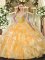 Decent Organza Sleeveless Floor Length Quinceanera Dresses and Beading and Ruffles