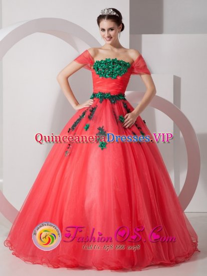 Helena Arkansas/AR Pretty One Shoulder Organza Quinceanera Dress With Hand Made Flowers Custom Made - Click Image to Close
