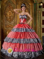 Colorful Sweetheart Strapless With Zebra and Taffeta Ruffles Ball Gown For Quinceanera Dress in Arlington Virginia/VA