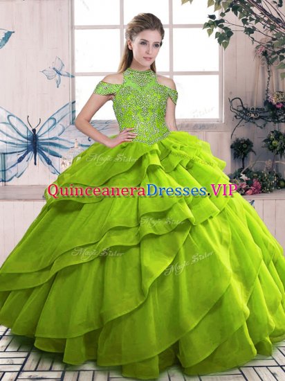 Organza Sleeveless Floor Length Sweet 16 Quinceanera Dress and Beading and Ruffled Layers - Click Image to Close