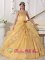 Hungry Horse Montana/MT Embroidery with Beading Decorate Organza Popular Gold Quinceanera Dress with hand made flower