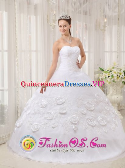 Lexington Kentucky/KY Custom Made Sweetheart White Quinceanera Dress With Organza Appliques Ball Gown - Click Image to Close