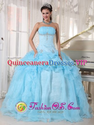 Stylish Organza Baby Blue Ball Gown Pick-ups Sweet 16 Dresses With Beading and Ruched Bust Floor-length In Neuquen Argentina