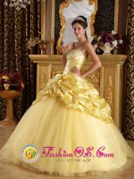 Ewing New Jersey/ NJ Custom Made Modest Beaded Decorate Yellow Quinceanera Dress With Hand Made Flowers And Pick-ups