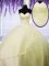 Exceptional Tulle Sweetheart Sleeveless Lace Up Appliques Quinceanera Gowns in Light Yellow