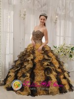 Unique Multi-color Custom Made Zebra Ruffles Sweetheart Quinceaners Dress in Spring In Pahrump Nevada/NV