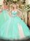 Fashion Sweetheart Sleeveless Lace Up Quinceanera Gowns Apple Green Tulle