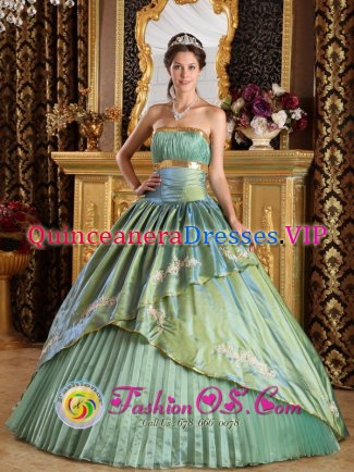 Le Gosier France Appliques Discount Olive Green Quinceanera Dress Strapless Ruched Bodice Taffeta and Organza Ball Gown