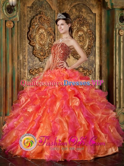 Caldwell TX The Brand New Style Beading and Ruffles Decorate Bodice Multi-Color Quinceanera Dress For Winter Strapless The Brand New Style Organza Ball Gown - Click Image to Close