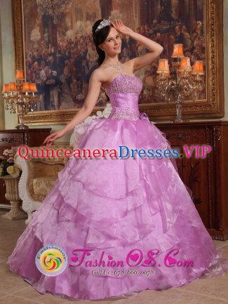 Lavender Strapless Floor-length Organza Beading Ruffled Ball Gown Quinceanera Dress in Roanoke Alabama/AL