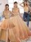 Peach Sweet 16 Dress Tulle Sweep Train Sleeveless Lace