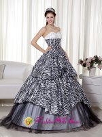 Wonderful Beading and Ruch Spring Lake Michigan/MI Quinceanera Dress Luxurious A-line Princess Sweetheart Floor-length Zebra and Organza(SKU MLXN105-JBIZ)
