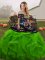 Green Tulle Lace Up Quinceanera Gowns Sleeveless Floor Length Embroidery and Ruffles