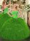 Comfortable Green Sleeveless Floor Length Beading and Ruffles Lace Up Quinceanera Dress