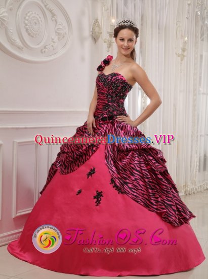 One Shoulder Hand Zebra Made Flowers Sweet 16 Dress Coral Red For Gaduation IN Baytown Texas/TX - Click Image to Close