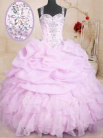 Pick Ups Floor Length Ball Gowns Sleeveless Lilac 15th Birthday Dress Lace Up(SKU PSSW0211-8BIZ)