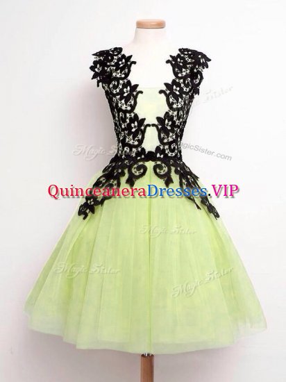 Yellow Green A-line Lace Dama Dress Lace Up Tulle Sleeveless Knee Length - Click Image to Close
