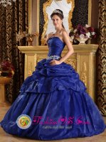 Vicksburg Mississippi/MS Strapless Ruched Bodice Sweet 16 Dress With Appliques and Pick-ups In South Carolina(SKU QDZY180-GBIZ)