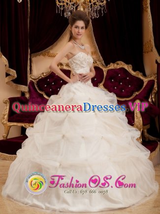 Baudette Minnesota/MN Champagne Sweetheart Appliques Decorate Bodice Quinceanera Dresses With Pick-ups