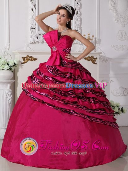 Bowknot Beaded Decorate Zebra and Taffeta Hot Pink Ball Gown For in Pawtucket Rhode Island/RI - Click Image to Close