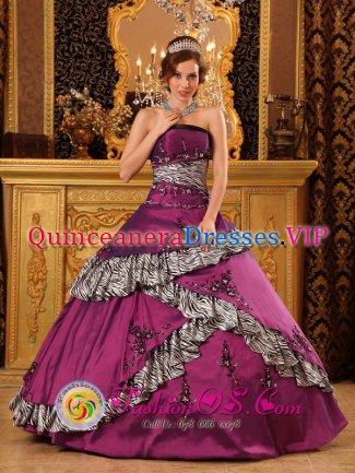 ZonaColombiaBananera Colombia Stylish Embroidery Zebra Dark Purple Quinceanera Dress With Taffeta Ball Gown