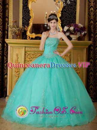 AffordableTurquoise Strapless Organza Beading Ball Gown Quinceanera Dress In North Bay OntarioON