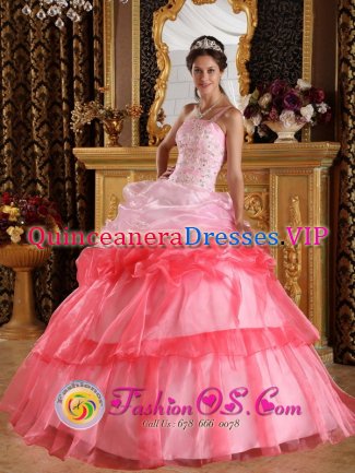 Stunning One Shoulder Strapless Lace up Romantic Delta Colorado/COQuinceanera Dress Appliques with Beading Organza Ball Gown