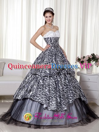 Wonderful Beading and Ruch Spring Lake Michigan/MI Quinceanera Dress Luxurious A-line Princess Sweetheart Floor-length Zebra and Organza