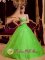 Lemont Illinois/IL Spring Green Princess Appliques Decorate Organza Ruching Quinceanera Dress