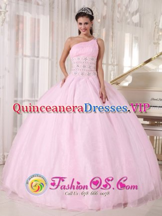 Big Spring TX Luxurious Baby Pink One Shoulder Quinceanera Dress Beading Floor Length Tulle For Sweet 16