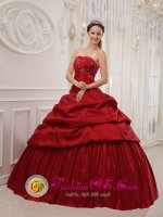 Orlando Florida/FL D ramatic Ruffles Decorate Wine Red Quinceanera Dress
