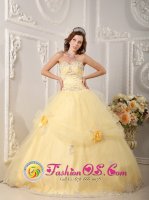 Beautiful Organza Light Yellow Sweetheart Quinceanera Dress With Appliques and Hand Made Flowers In Bendigo VIC(SKU QDZY129y-2BIZ)