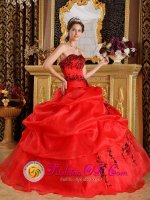 Waseca Minnesota/MN Fashionable Sweetheart Strapless Red Embroidery Sweet 16 Dress With Pick-ups Organza