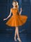 Eye-catching Gold Lace Up Bateau Lace and Belt Dama Dress Tulle Cap Sleeves