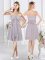 Sleeveless Ruching Side Zipper Dama Dress for Quinceanera