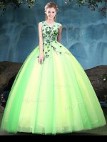 Ball Gowns Quinceanera Gowns Multi-color V-neck Tulle Sleeveless Floor Length Lace Up(SKU YCQD0164-6BIZ)