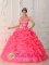 Salisbury Maryland/MD Sexy Watermelon Quinceanera Dress With Appliques Decorate Straps And Bodice