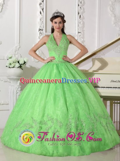 Elegant A-line Spring Green Halter Top Appliques Decorate Quinceanera Dress With Taffeta and Organza In David City Nebraska/NE - Click Image to Close