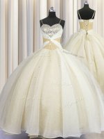 Custom Made Spaghetti Straps Champagne Organza Lace Up 15th Birthday Dress Sleeveless Floor Length Beading and Ruching(SKU PSSW0413-14BIZ)
