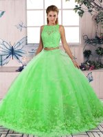 Edgy Sleeveless Sweep Train Lace Backless Sweet 16 Quinceanera Dress