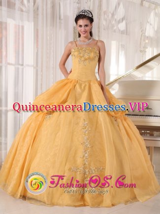 Gorgeous Gold Appliques Spaghetti Straps Quinceanera Dress With Taffeta and Organza Ball Gown IN Amherst NY