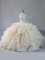 Fantastic Champagne Sleeveless Organza Brush Train Lace Up 15 Quinceanera Dress for Sweet 16 and Quinceanera