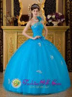 One Shoulder Fabulous Quinceanera Dress For Camp Verde AZ Teal Tulle Appliques Ball Gown(SKU QDZY166y-4BIZ)