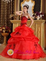 Long Melford East Anglia Fashionable Sweetheart Strapless Red Embroidery Sweet 16 Dress With Pick-ups Organza(SKU QDZY323y-3BIZ)