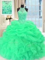 Organza Scoop Sleeveless Lace Up Beading and Pick Ups Quince Ball Gowns in(SKU PSSW536-2BIZ)