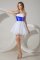 Luxury Organza Strapless Sleeveless Zipper Beading Dama Dress in White